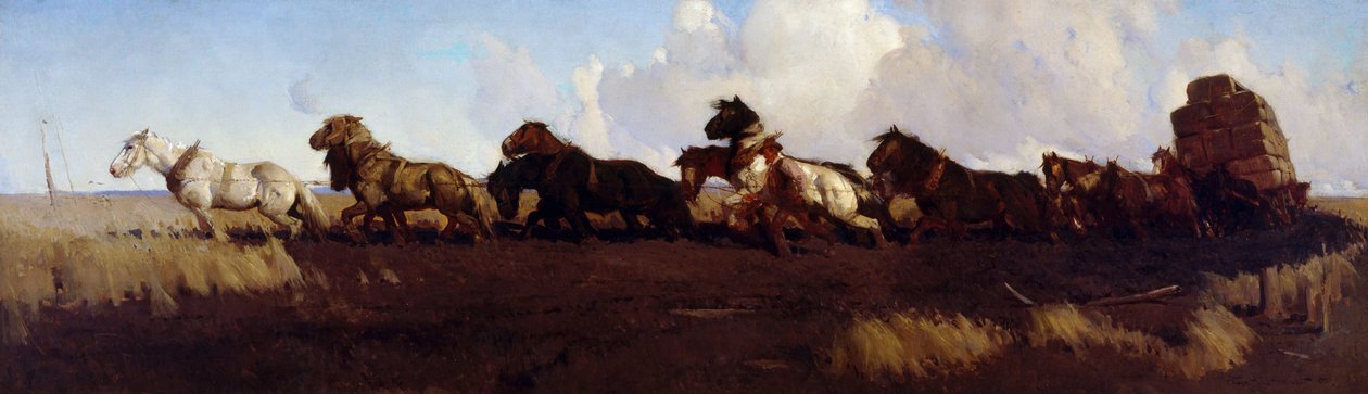 Over de zwarte grondvlakten door George Washington Lambert