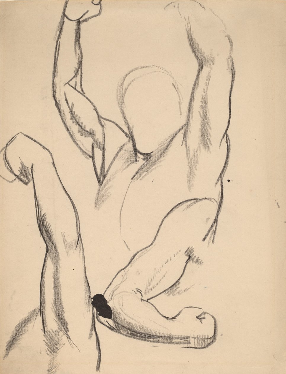 Armen van een Bokser, 1916 door George Wesley Bellows