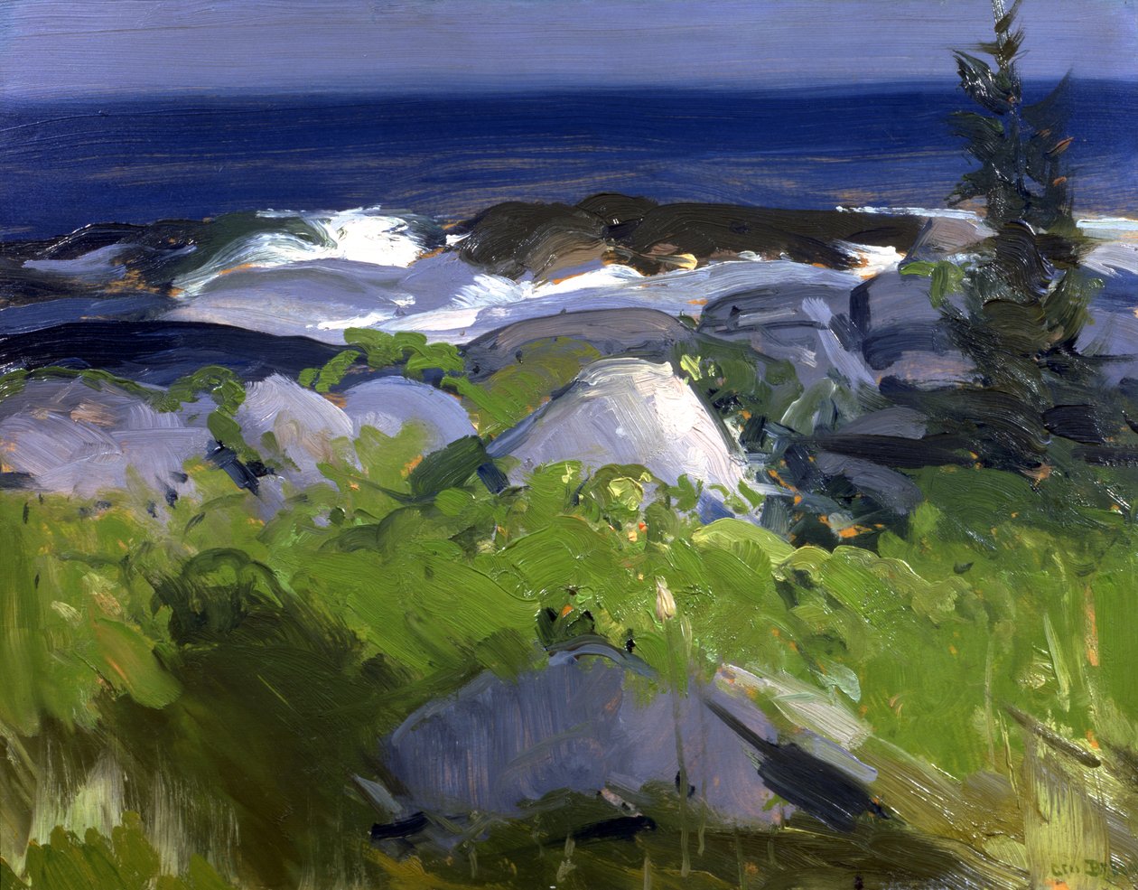 Met wijnranken begroeide kust--Monhegan Island, 1913 door George Wesley Bellows