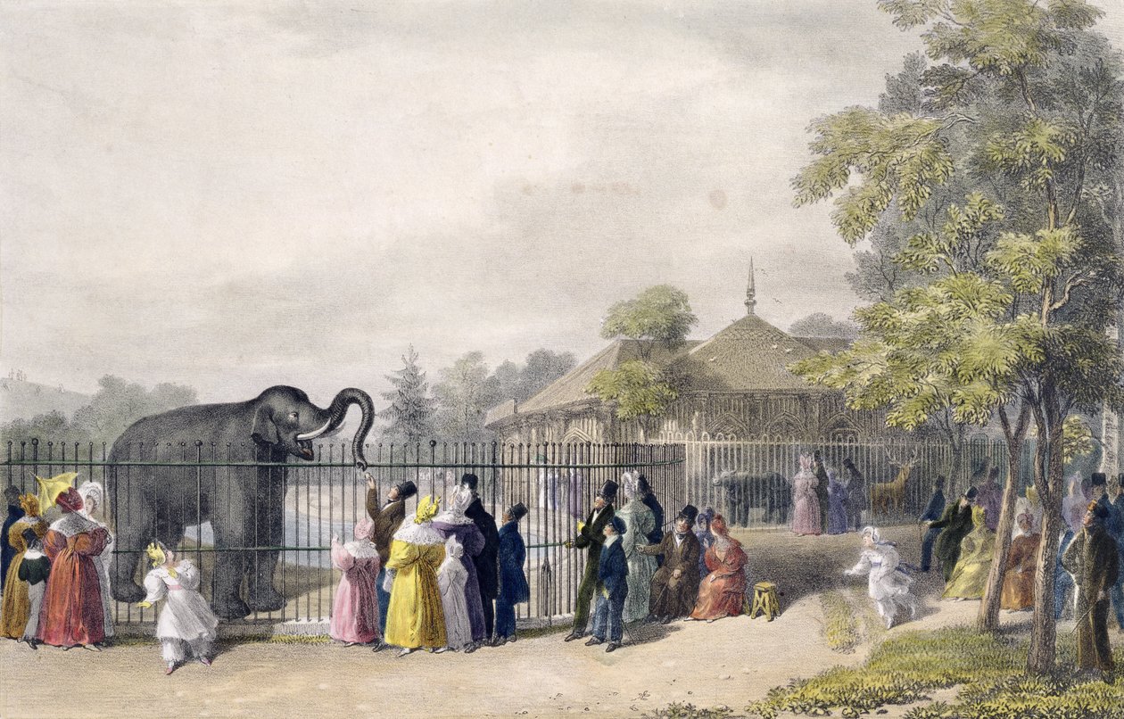 Het olifantenhuis in de dierentuin, Regent