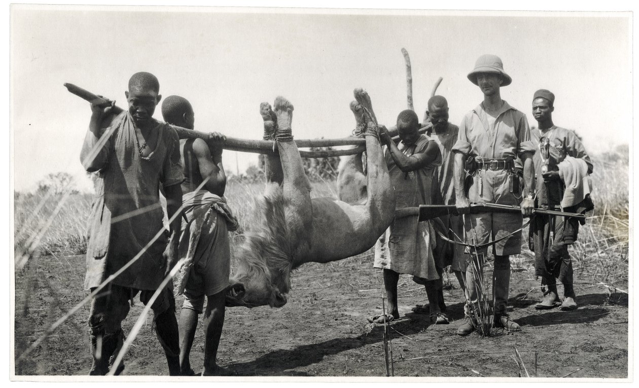 Leeuw bij Bahr el Ghazal, Am Dafok, 1925 door Georges Marie Haardt
