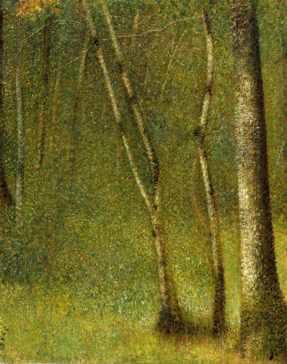 Het bos bij Pontaubert, 1881 door Georges Pierre Seurat