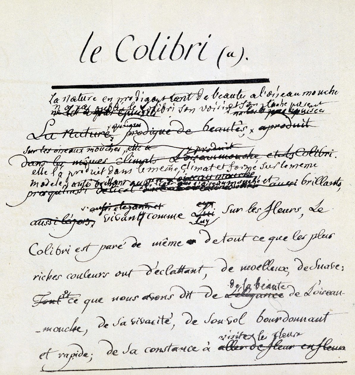 Buffon-manuscript over de kolibrie. sd. 18e eeuw door Georges de Buffon