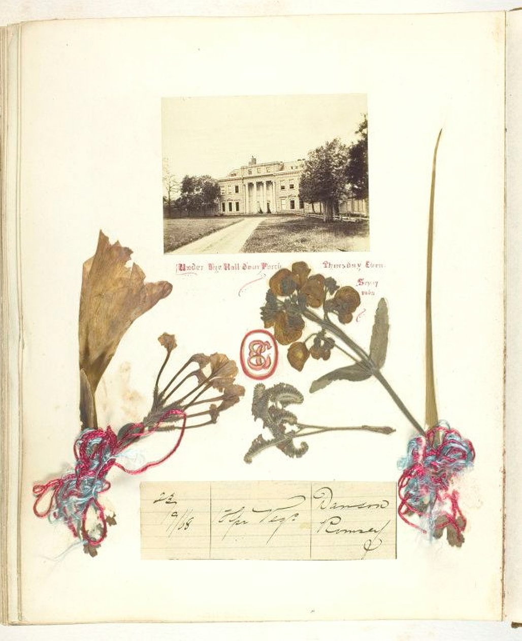 Zonder titel [uitzicht op Broadlands met gedroogde bloemen] door Georgina Cowper