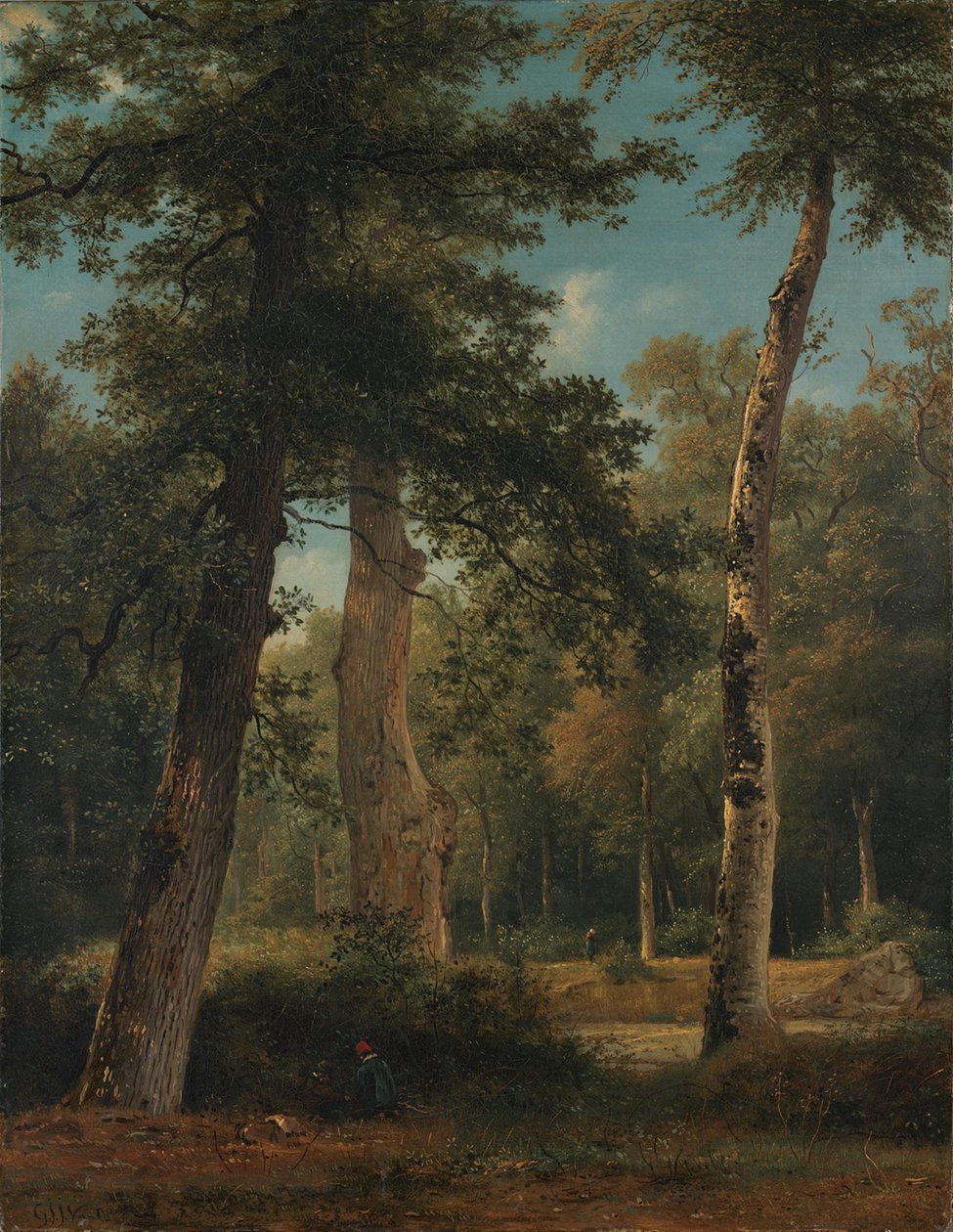 Een bos te Fontainebleau door Georgius Jacobus Johannes van Os