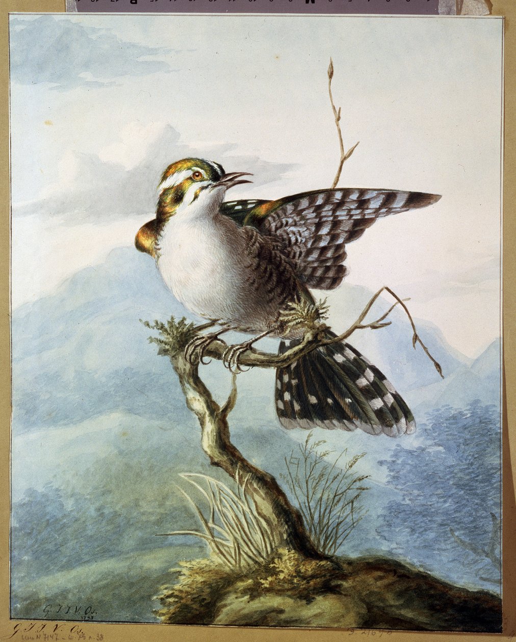 Een klein vogeltje door Georgius Jacobus Johannes van Os