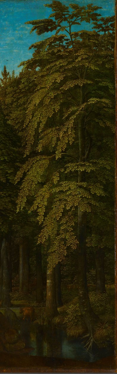 Äußere rechte Flügel eines Triptychons mit Blick in einen Wald door Gerard David