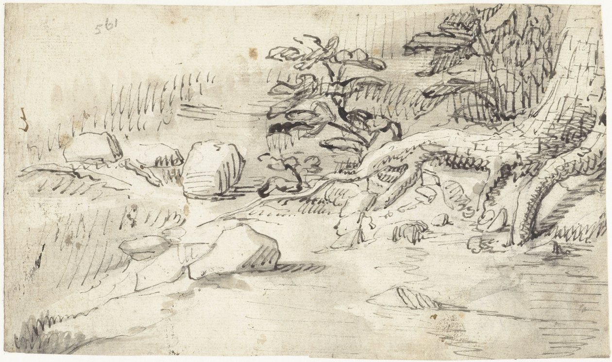 Studie van de wortels van een boom bij een stroompje door Gerard ter Borch (I)
