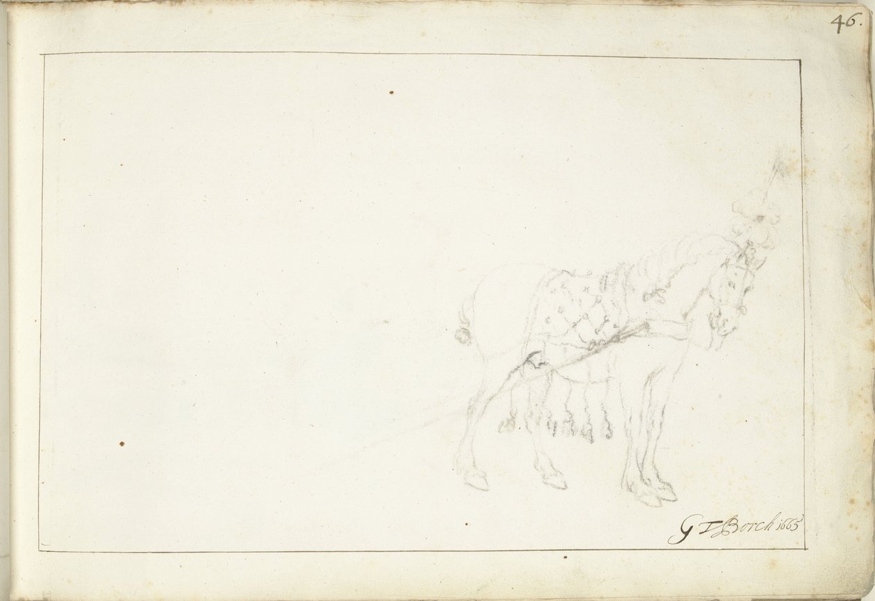 Paard, naar rechts door Gerard ter Borch (II) (signed by artist)