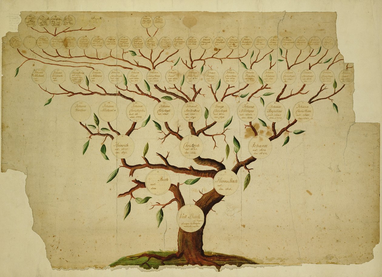 Stamboom van de Familie Bach, c.1750-1770 door German School
