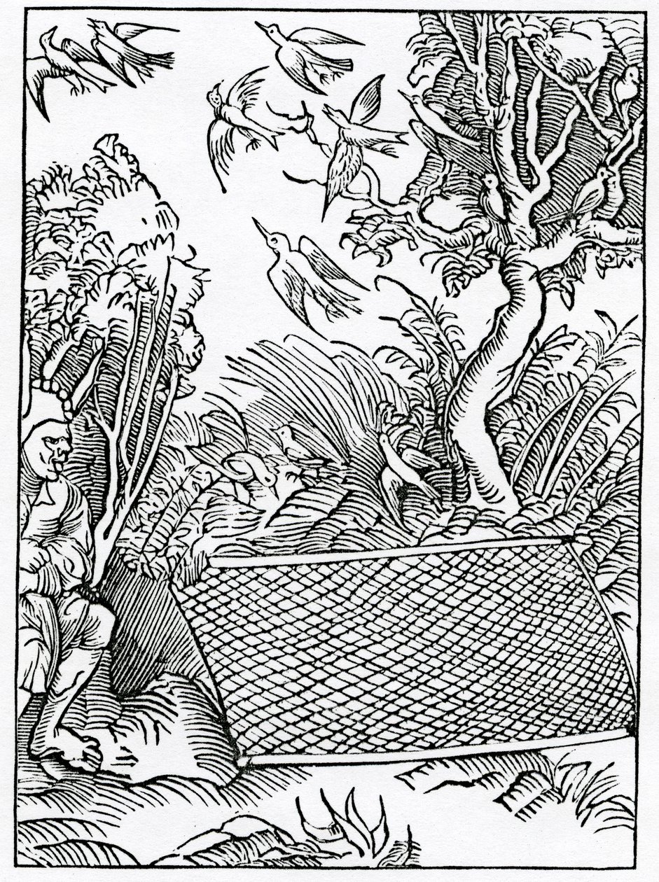Van onze open raadplegingen, illustratie uit Alexander Barclay