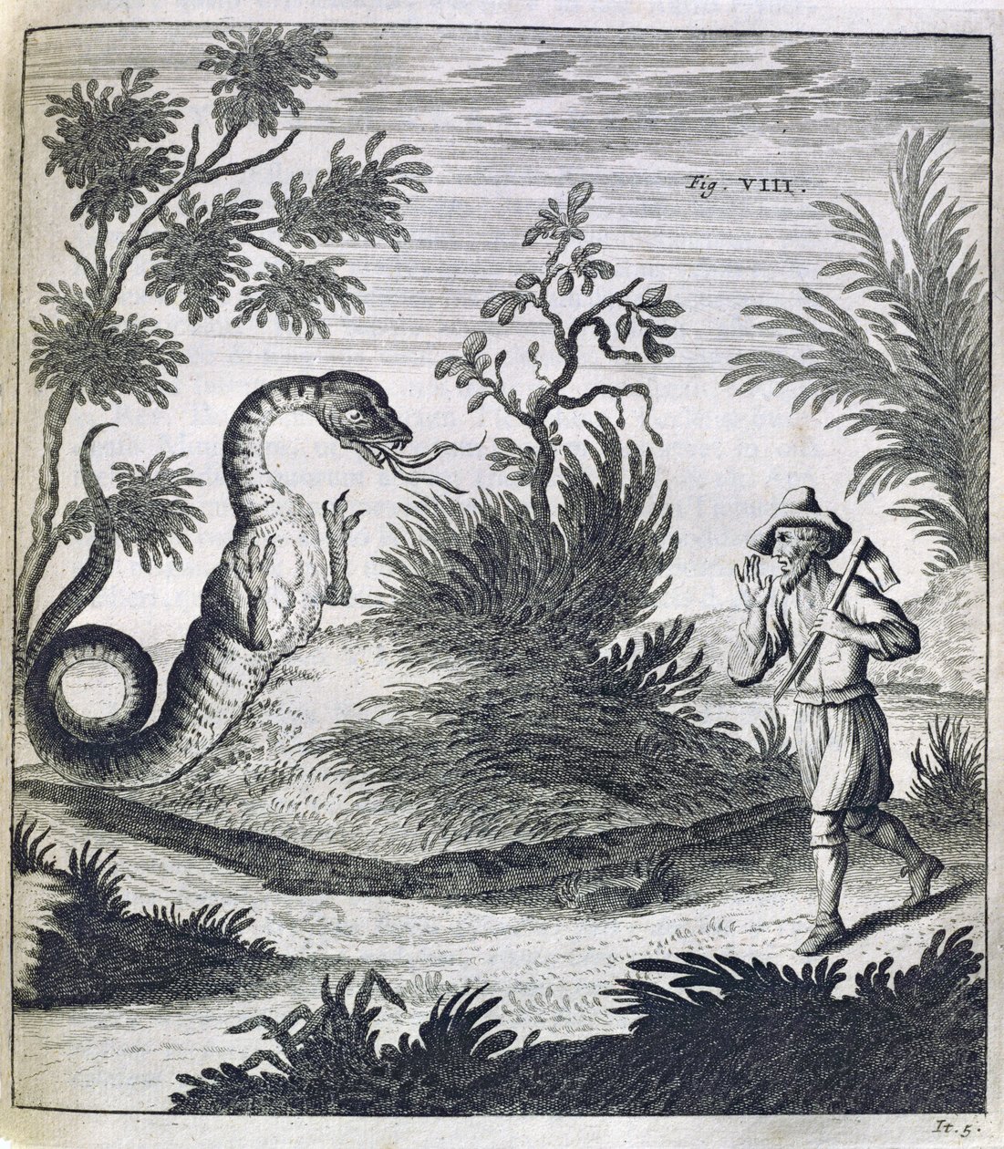 Een Angstaanjagende Draak, ca. 1660 door German School