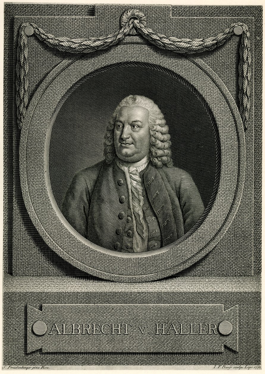 Albrecht von Haller door German School