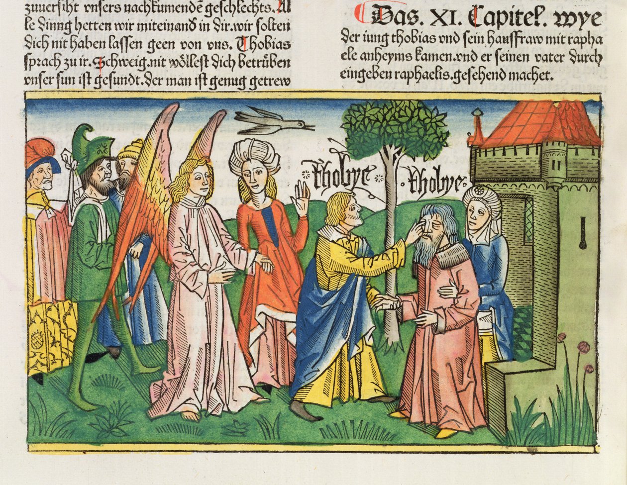 Apocrief: Tobias herstelt het zicht van zijn vader Tobit met de gal van een vis, uit de Neurenbergse Bijbel (Biblia Sacra Germanaica) door German School