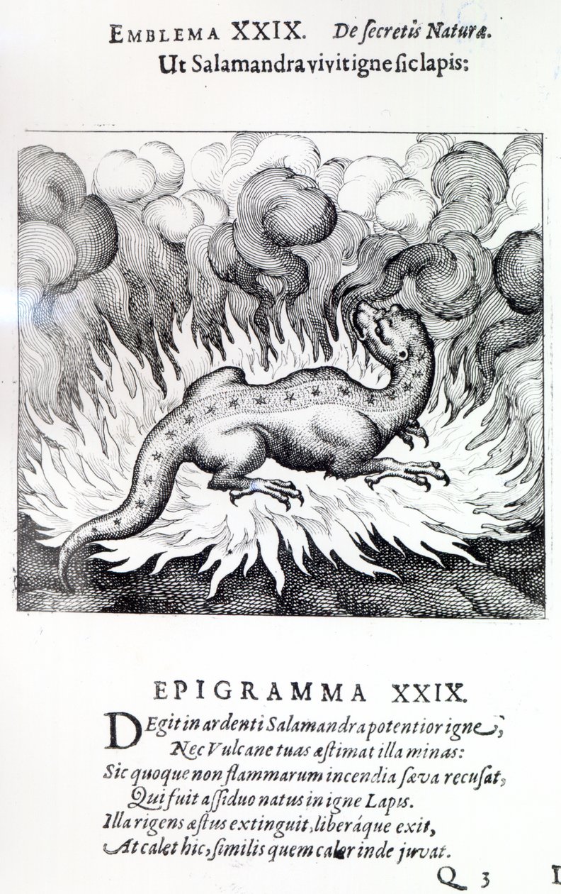 Zoals de Salamander in vuur leeft, zo ook de Steen, Embleem XXIX uit Atalanta fugiens door Michael Maier, 1617 door German School