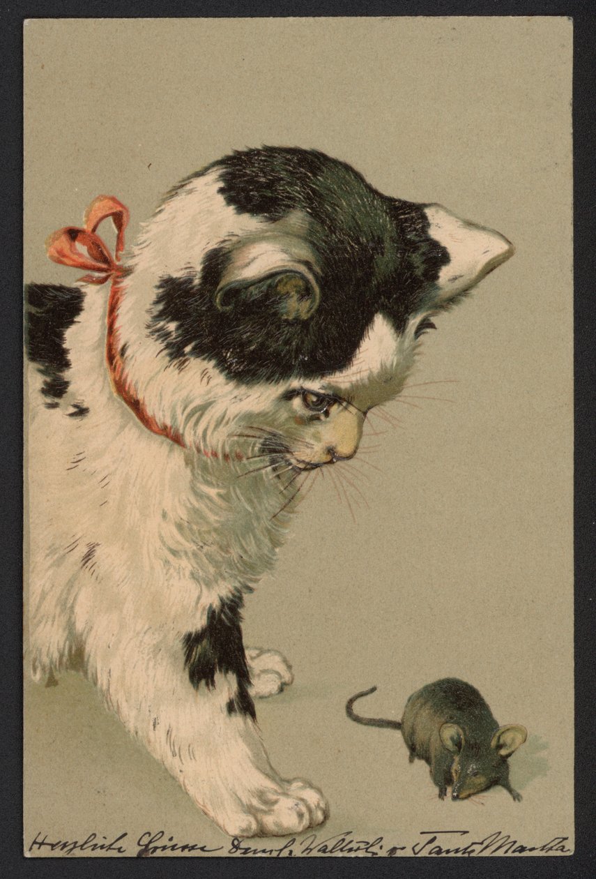 Kat speelt met muis (kleurenlitho) door German School