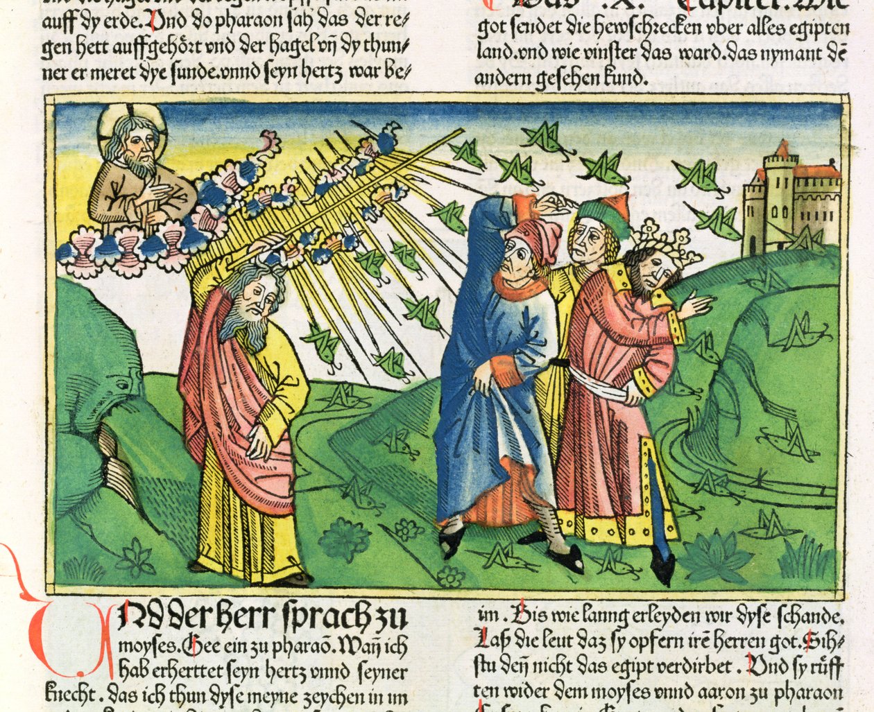 Exodus 10:1-20 De zeven plagen van Egypte: de plaag van sprinkhanen, uit de Neurenbergse Bijbel (Biblia Sacra Germanaica) door German School