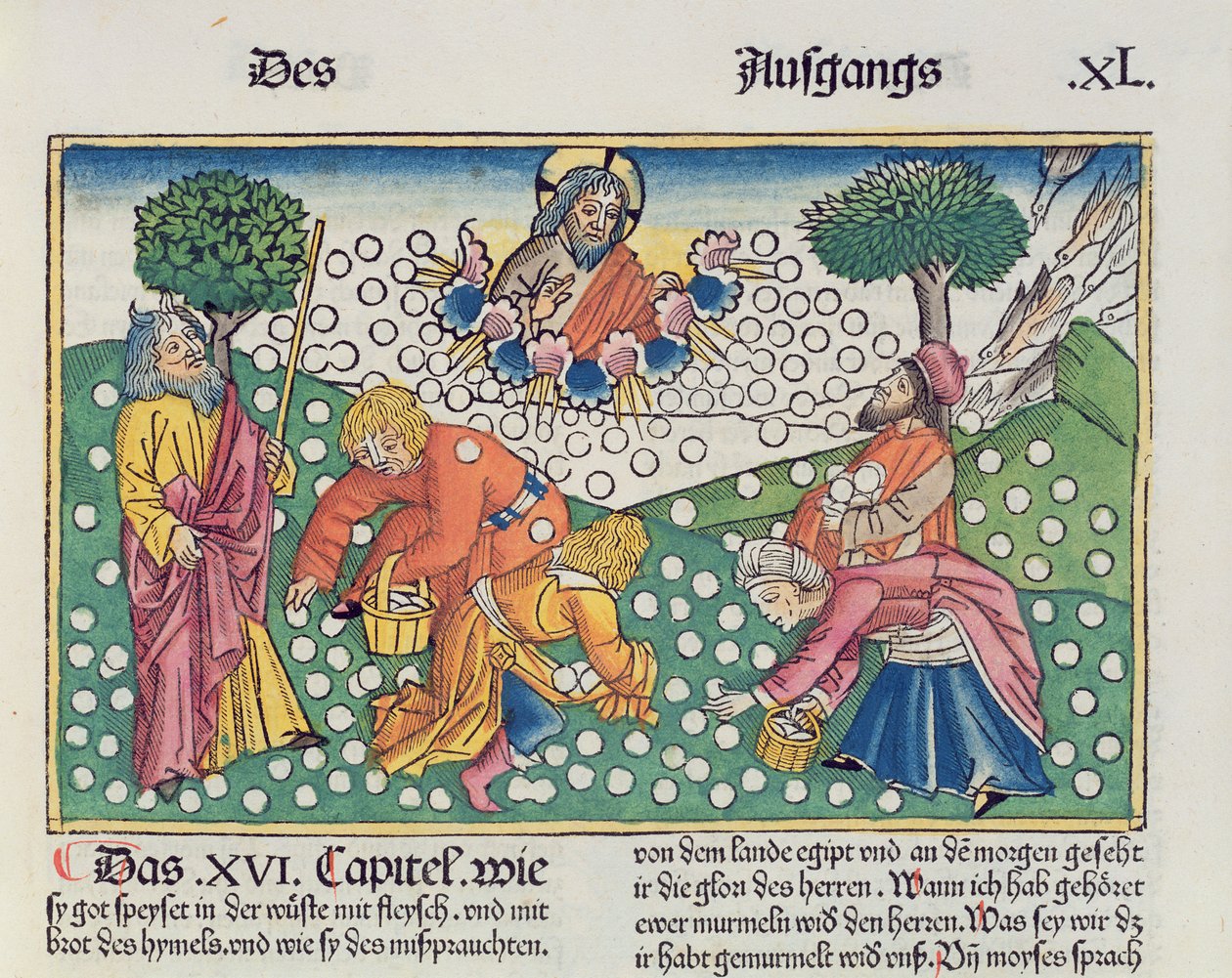 Exodus 16:13-22 God voorziet de Israëlieten van kwartels en manna, uit de Neurenbergse Bijbel (Biblia Sacra Germanaica) door German School