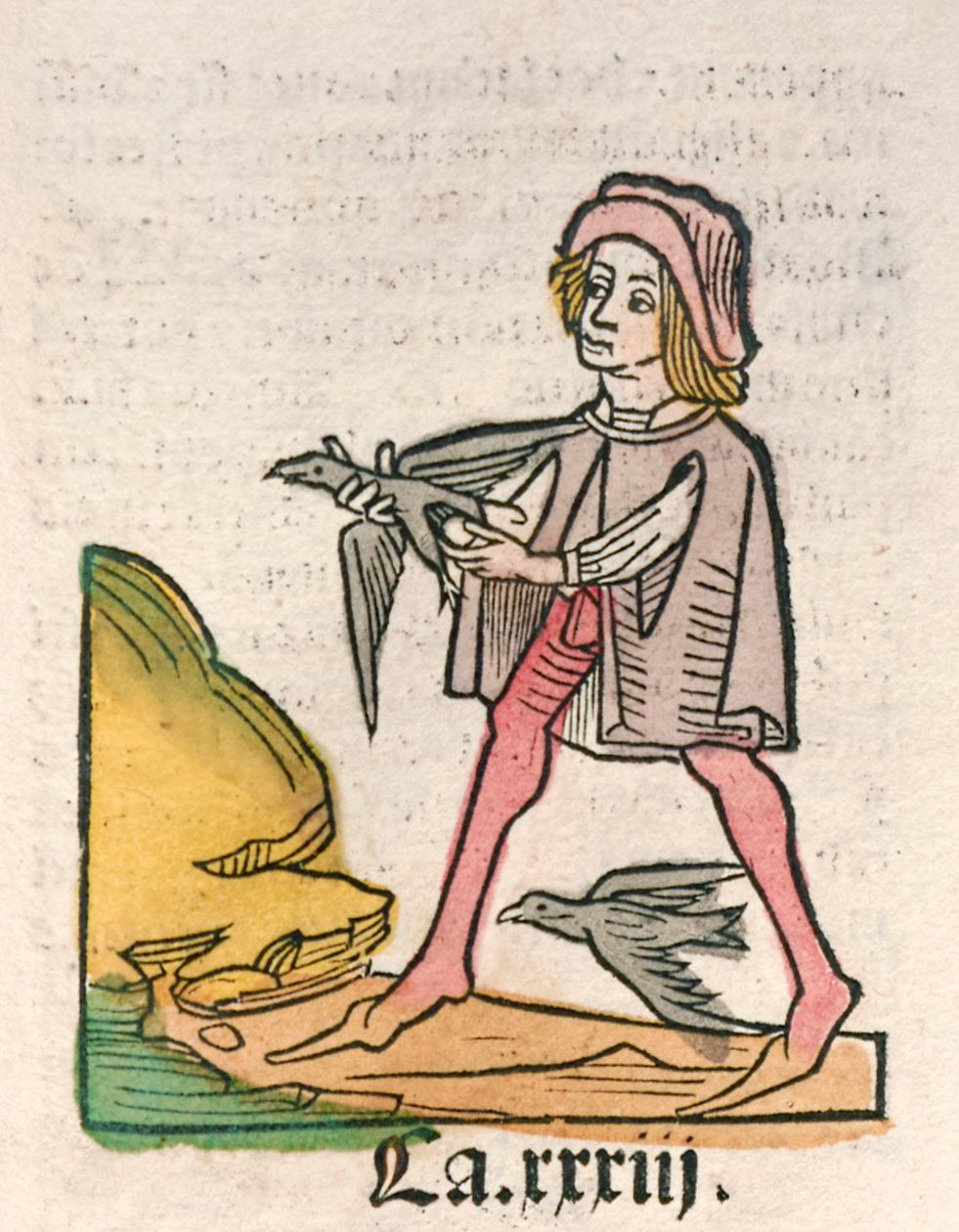 Hortus Sanitatis [De Tuin van Gezondheid] door Jacob Meydenbach, gepubliceerd in 1491 (houtsnede) door German School