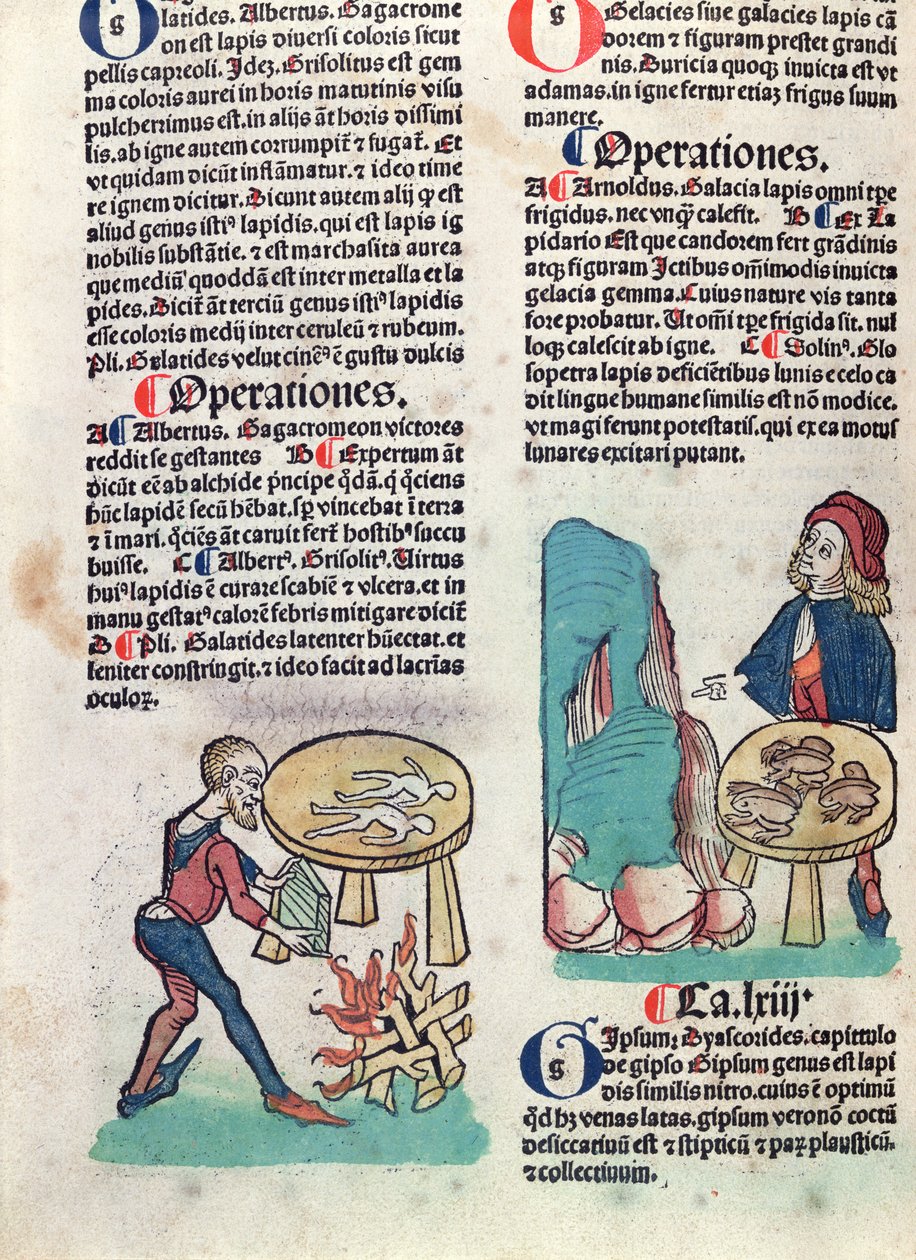 Geïllustreerde pagina uit Hortus Sanitatis, 1491 door German School