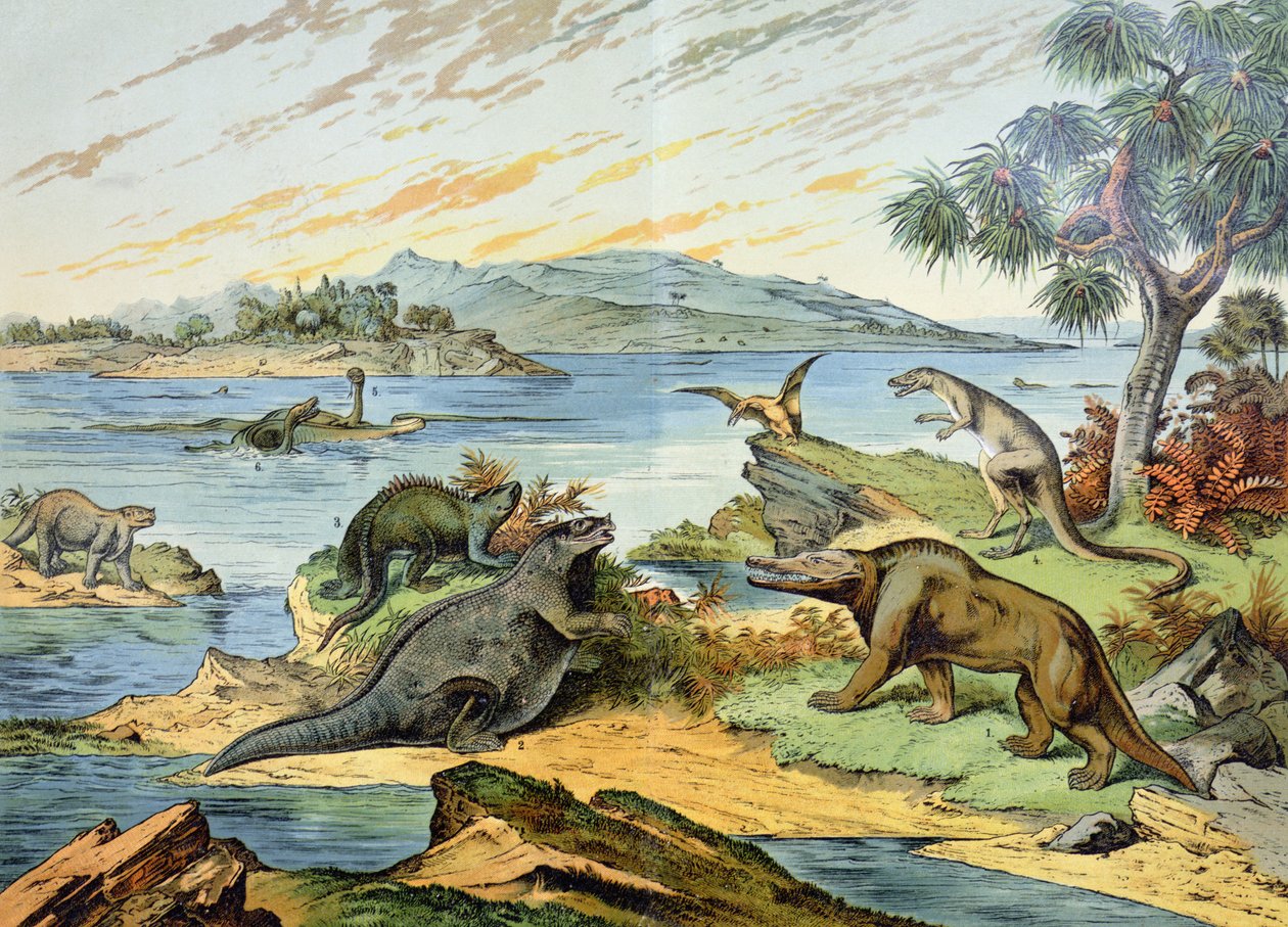 Landschap dat het Krijt tijdperk uitbeeldt (146 tot 65 miljoen jaar geleden) illustratie uit Natural History of Mineralogy and Palaeontology door G.H. von Schubert, 1888 door German School