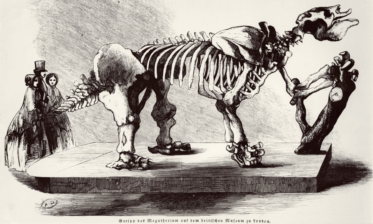 Megatherium skelet in het British Museum door German School
