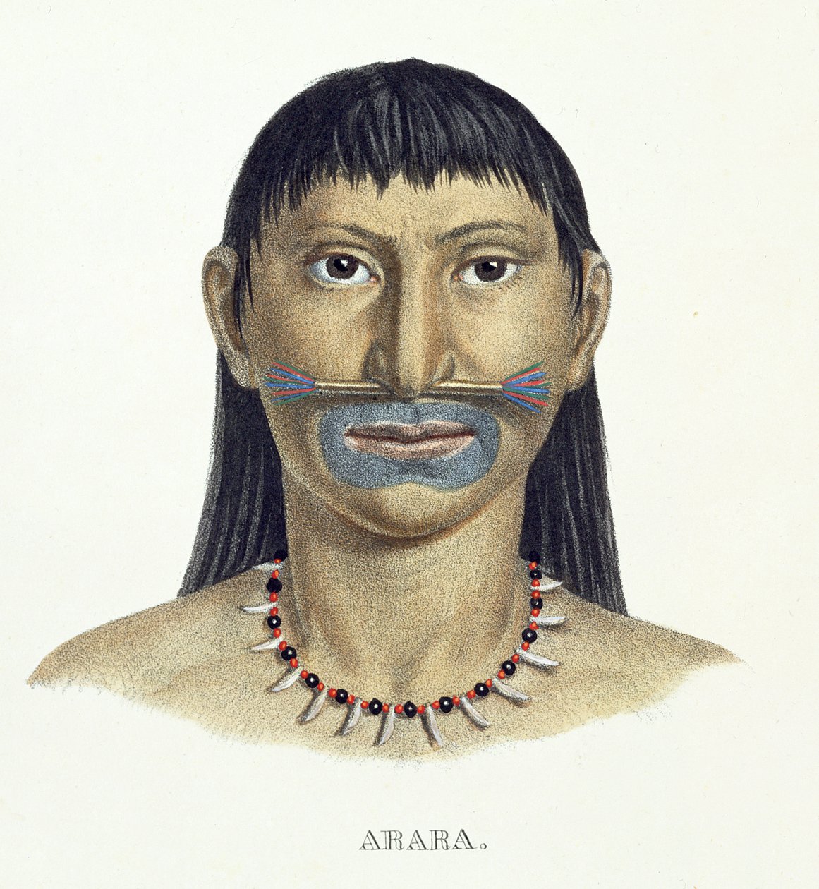 Inheemse man van de Arara-stam met blauwe gezichtsverf, uit Atlas van een reis in Brazilië door Johann Baptist von Spix (1781-1826) en Karl Friedrich Philipp Martius (1794-1868), gepubliceerd ca. 1835-50 door German School