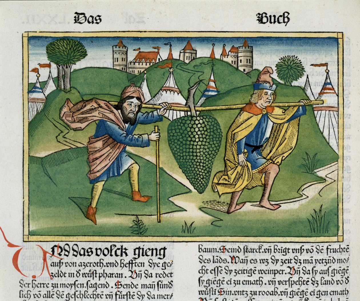 Numeri 13:23 De druiven van Eschol, uit de Neurenbergse Bijbel (Biblia Sacra Germanaica) door German School