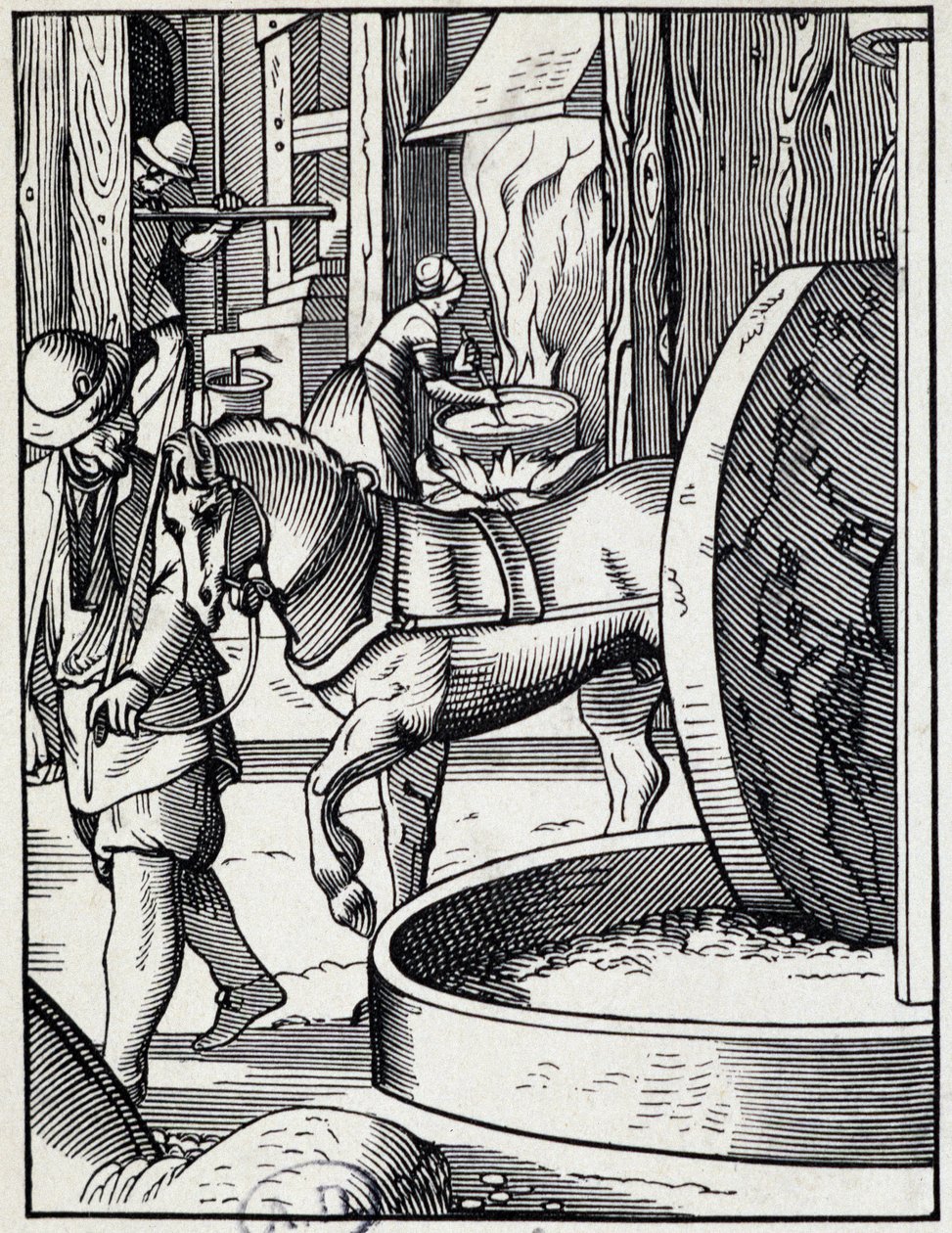 Oliepers - Duitse gravure door German School