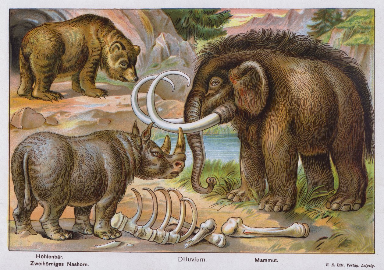 Prehistorische zoogdieren (kleurenlitho) door German School