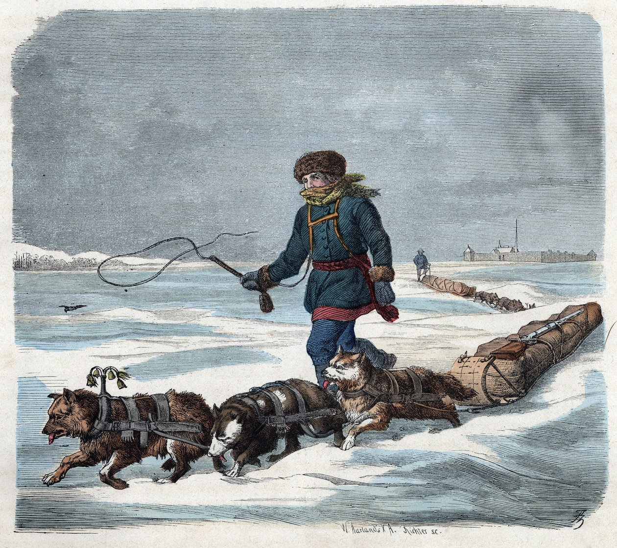 Sledehond in de sneeuw van Amerika. In 