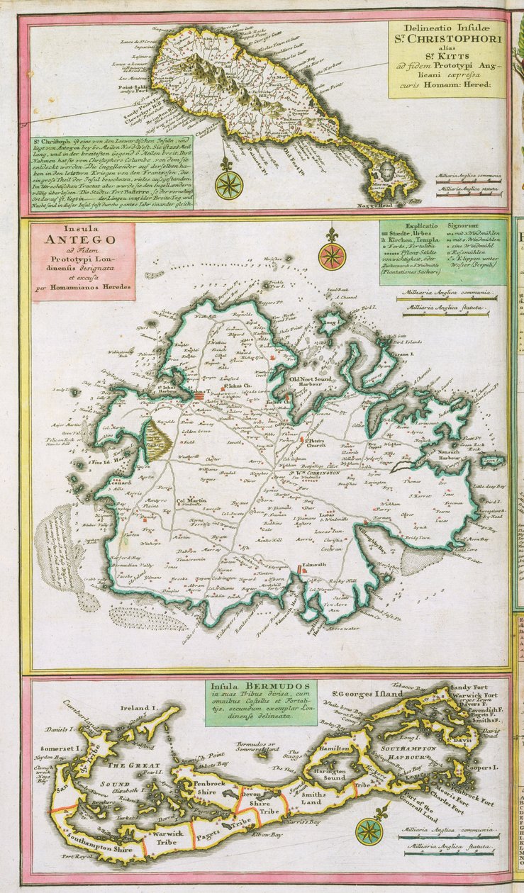St. Kitts, Antigua en Bermuda, detail van een kaart van Engelse koloniën in het Caribisch gebied, uitgegeven door Homann