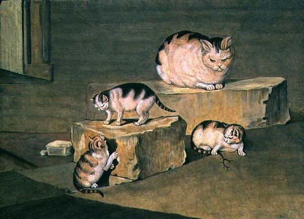 Studie van katten door German School
