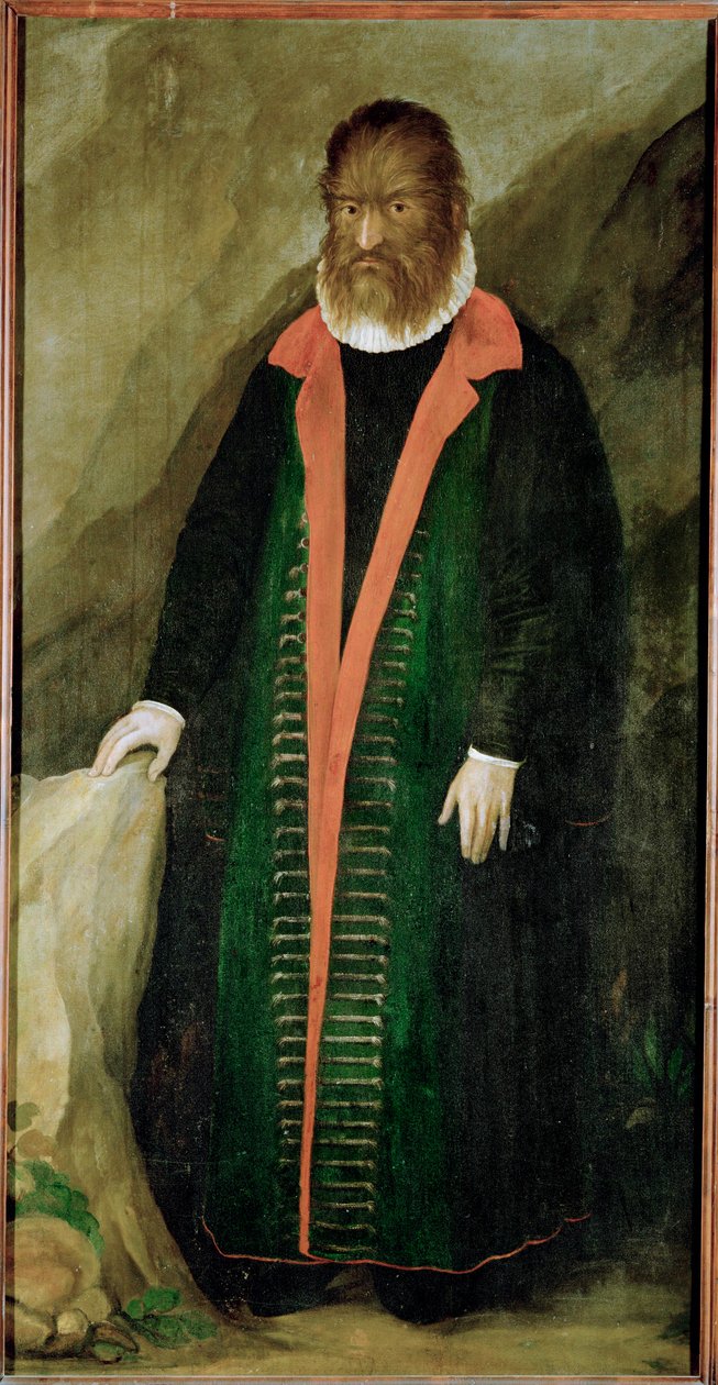 De harige man, Petrus Gonzalvus, geboren 1556 op Teneriffa ... door German School