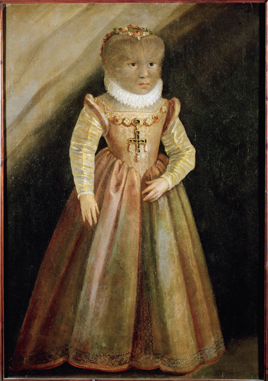 De dochter van Petrus Gonzalvus, de harige man van Teneriffa ... door German School