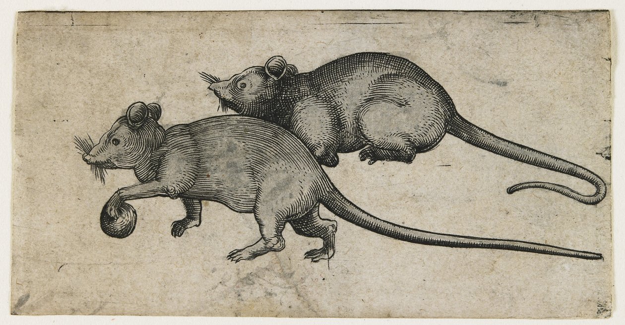 Twee Muizen, 1450-80 door German School