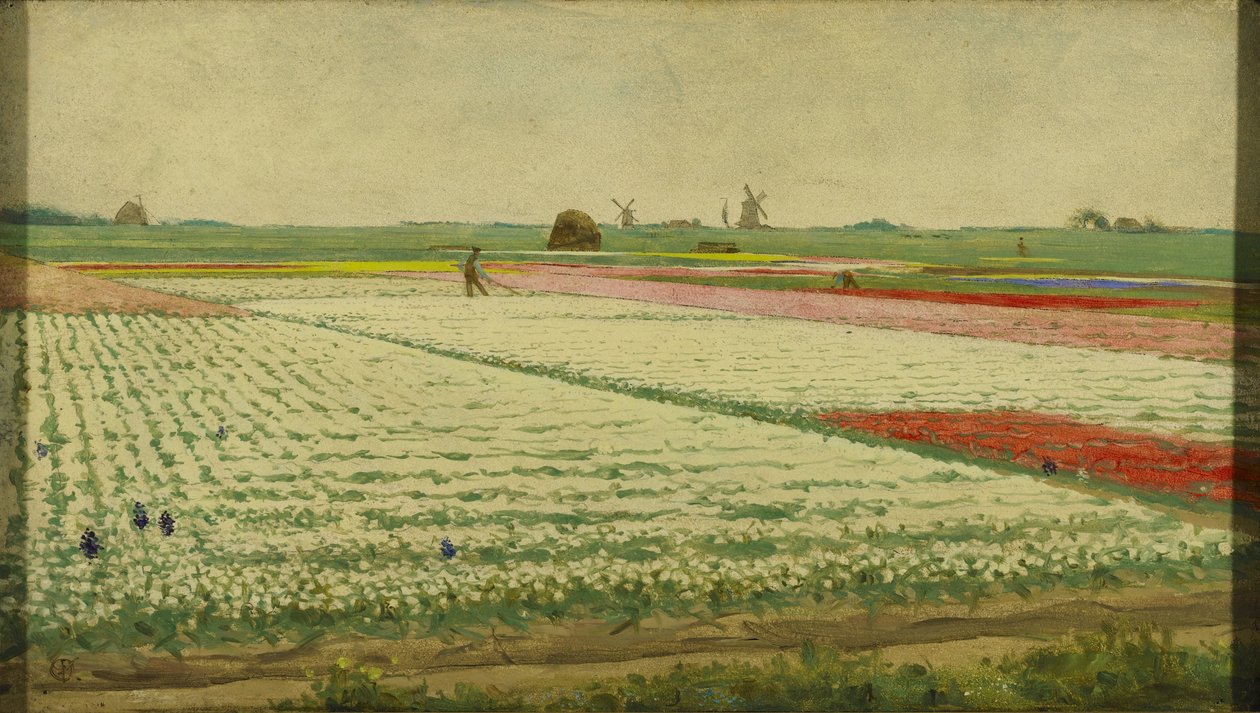 Tulpenvelden door Gerrit Willem Dijsselhof