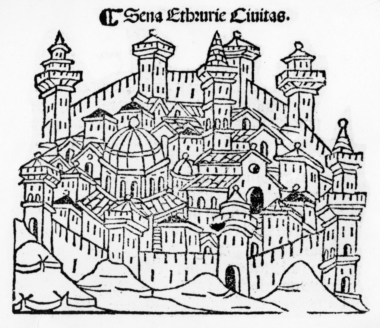 Uitzicht op Siena, uit 