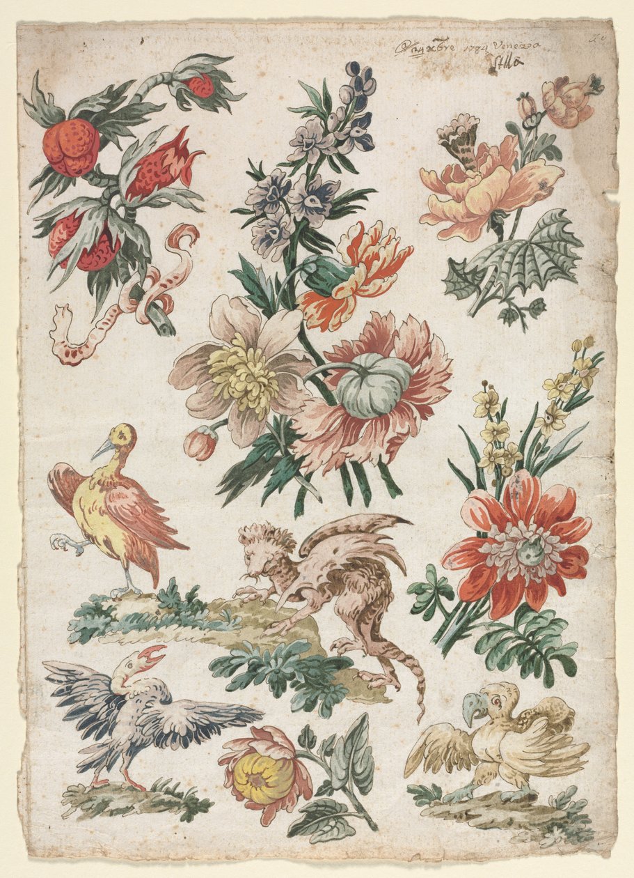Bloemmotieven met Vogels en Griffioen door Giacomo Cavenezia