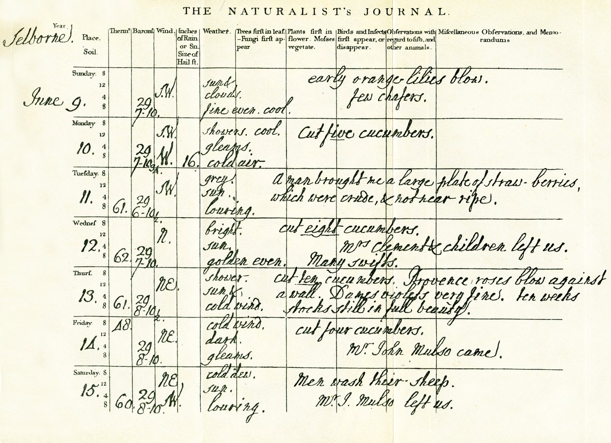 Laatste voltooide pagina van Gilbert Whites Naturalists Journal, 9-15 juni 1793 door Gilbert White
