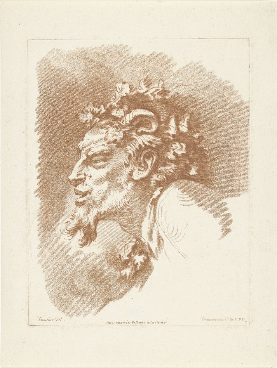 Kop van sater door Gilles Demarteau