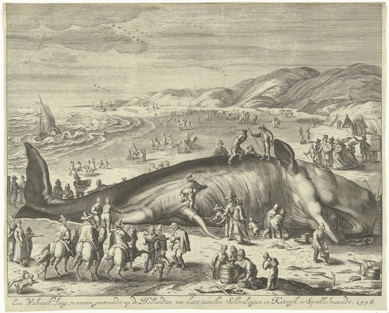 Gestrande walvis bij Berckhey, 1598 Een walvisch lang 70 voeten, gestrandt op de Hollandtse zee-kust, tusschen Schevelingen en Katwyk, in Sprokkelmaandt, 1598 door Gilliam van der Gouwen