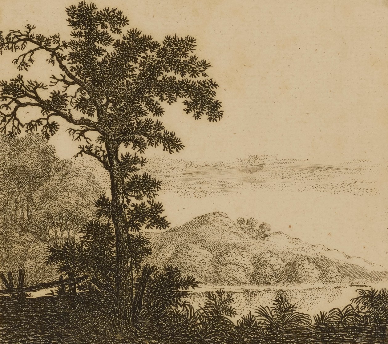 Landschap door Gillis Neyts