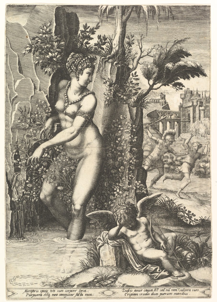 Venus geprikt door de doornen van een rozenstruik, op de achtergrond Mars die Adonis achtervolgt door Giorgio Ghisi