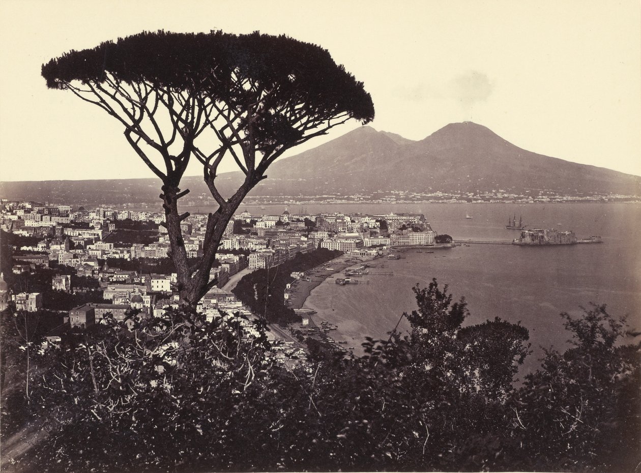 Panorama van Vomero met dennenboom door Giorgio Sommer