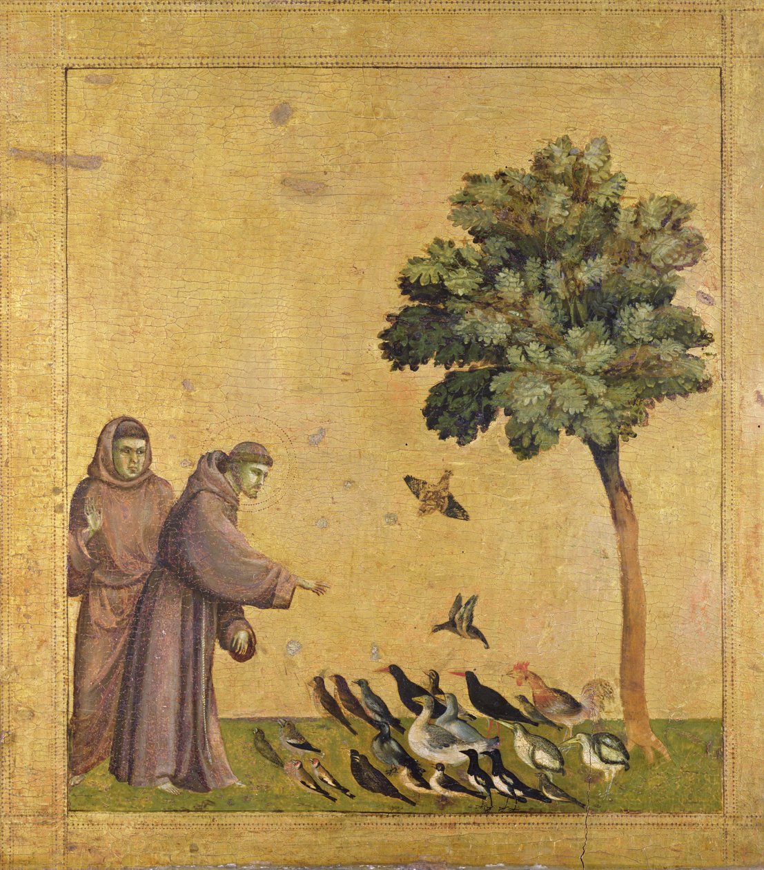 St. Franciscus van Assisi preekt tot de vogels door Giotto (c.1266 1337)