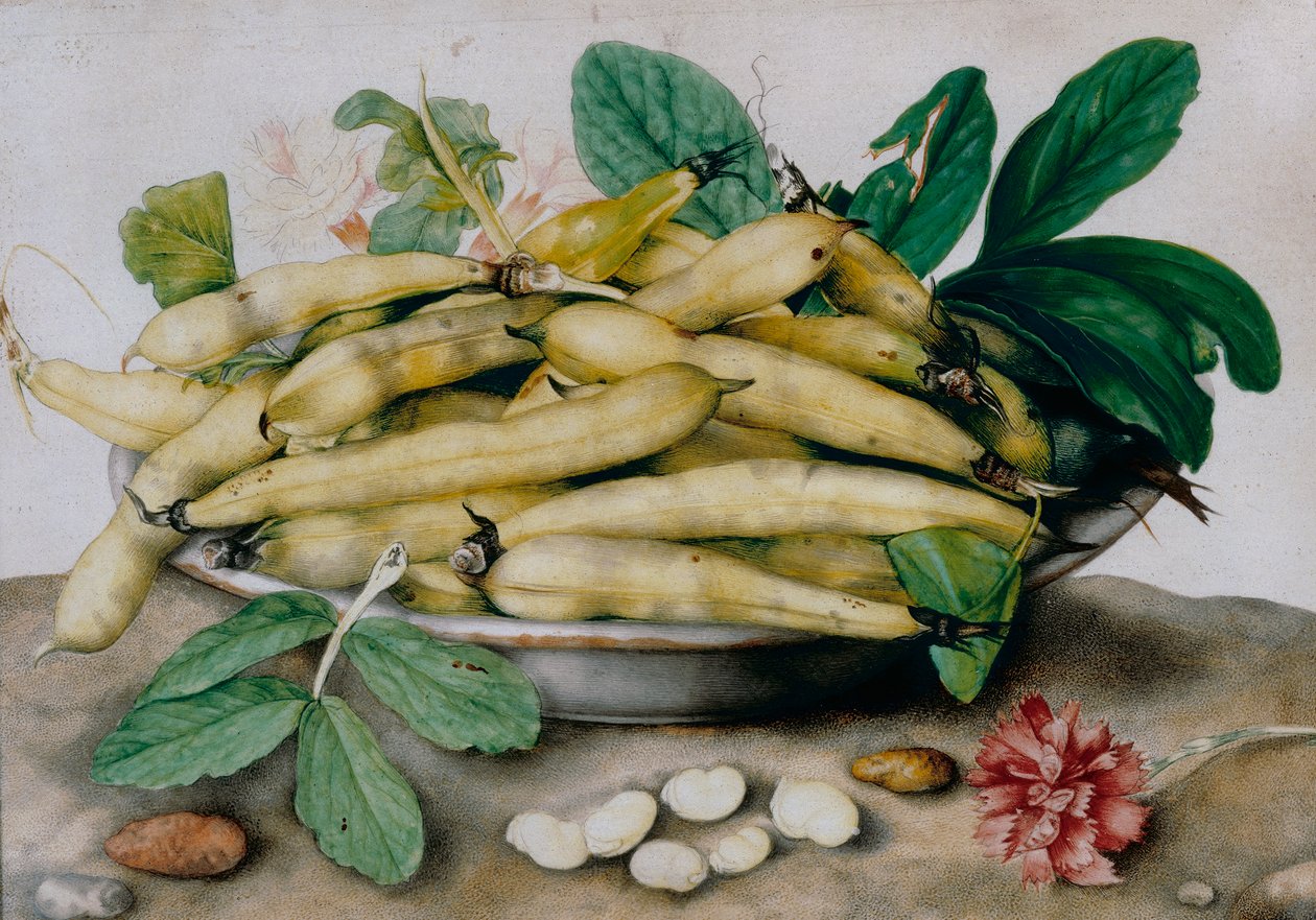 Bord met tuinbonen door Giovanna Garzoni