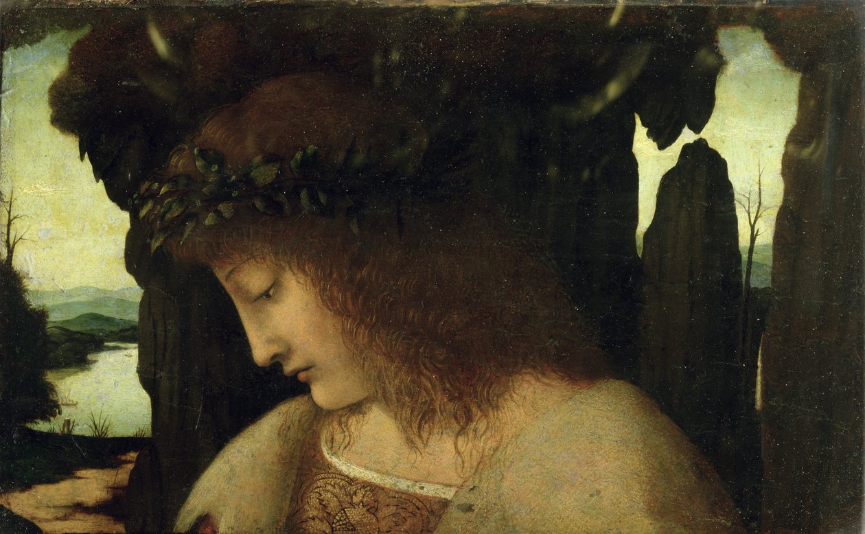 Narcissus bij de Fontein door Giovanni Antonio Boltraffio