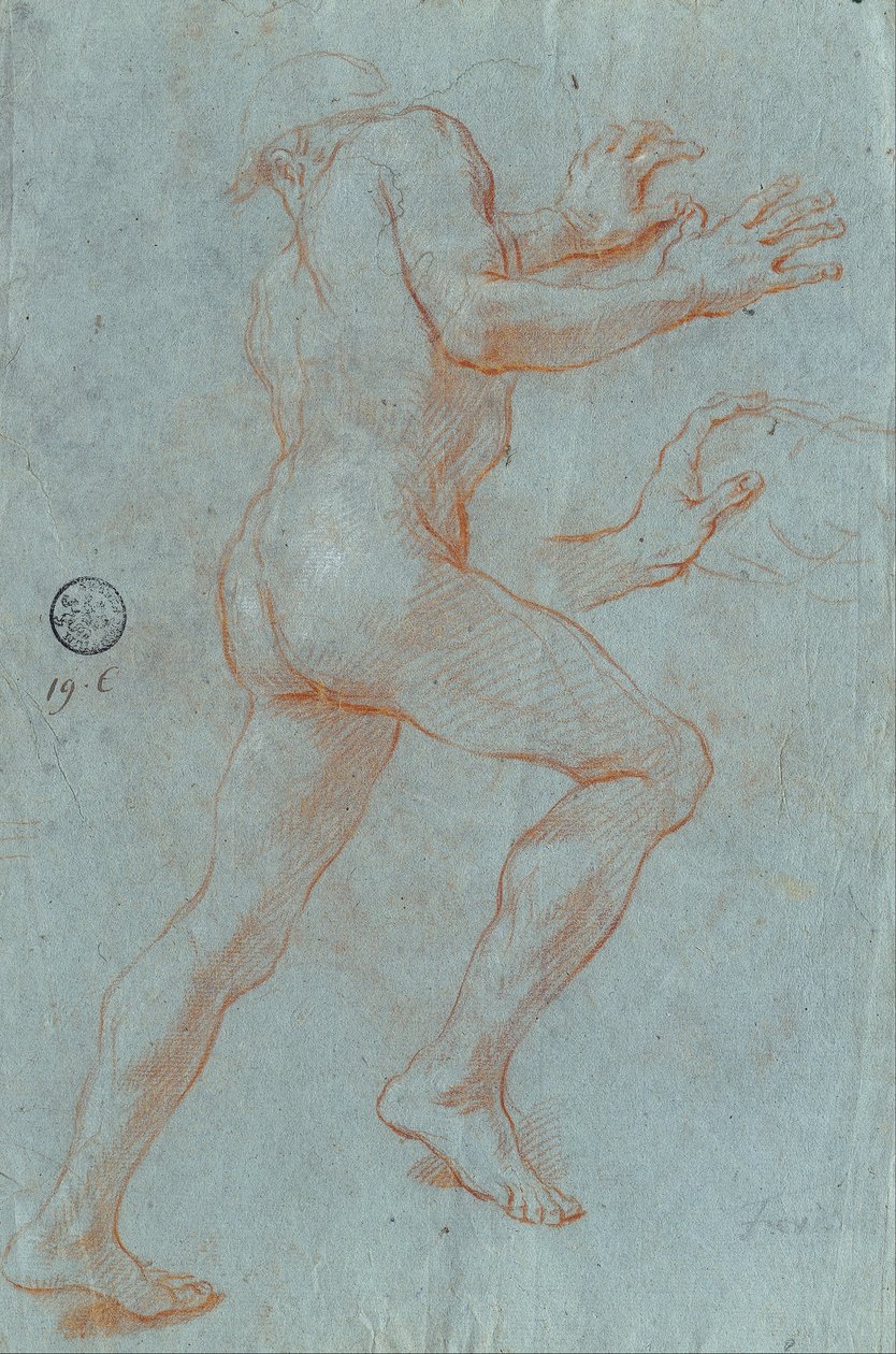 Studie van een mannelijk naakt door Giovanni Antonio Grecolini