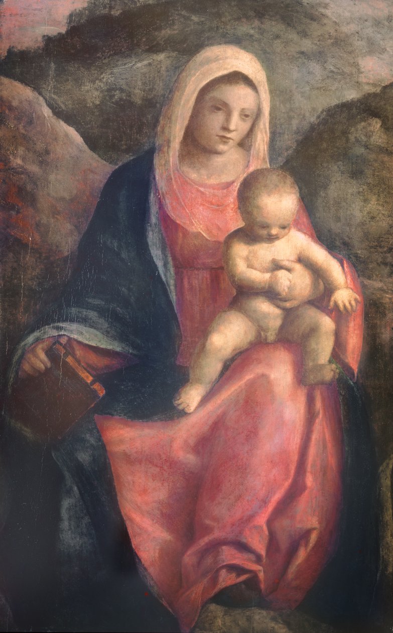 Madonna en kind door Giovanni Bellini